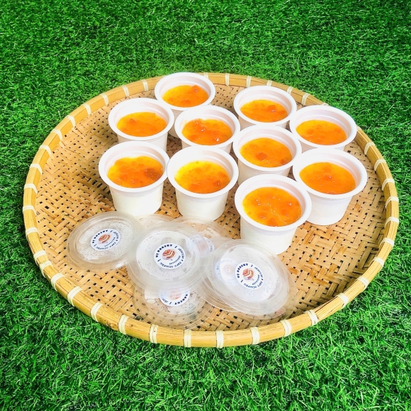 Set 10 sữa chua phô mai Mix vị Đào 